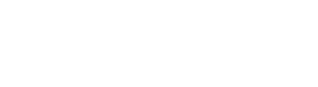 wiedzma logo biale
